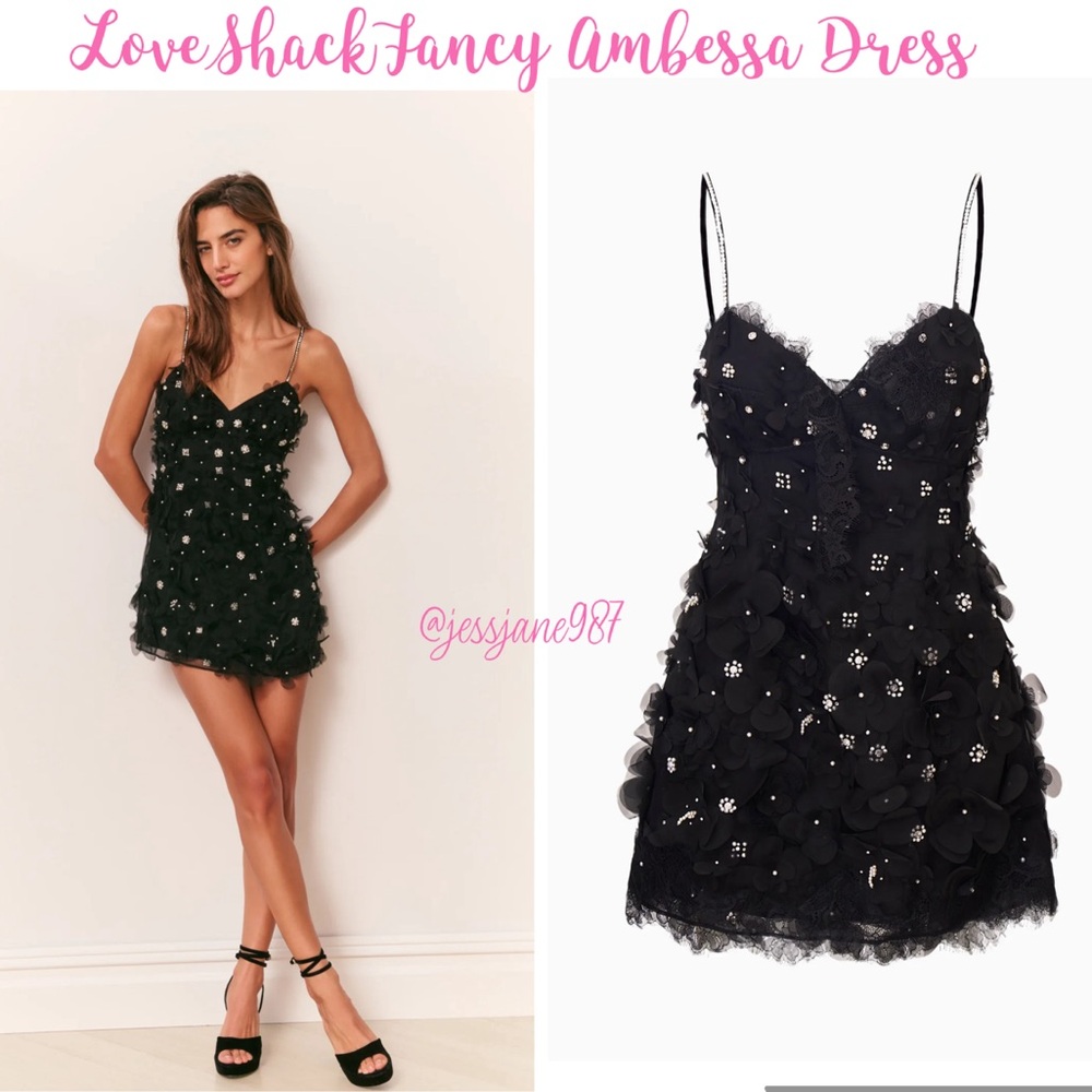 LoveShackFancy Ambessa Embellished Organza Mini Dress